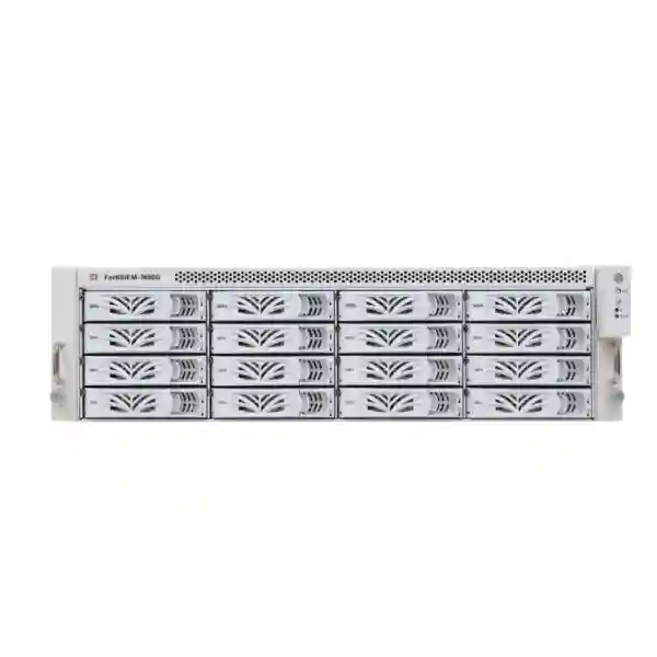 fortisiem fsm 3600g tanzania