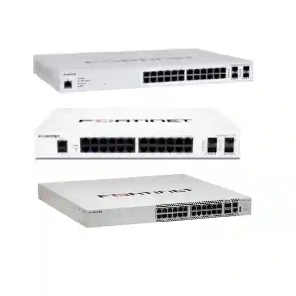 fortiswitch 300 series tanzania