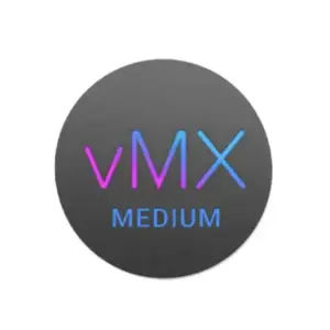 cisco meraki vmx medium tanzania
